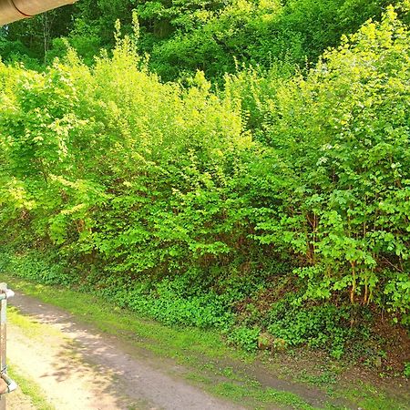Grandfontaine La Demeure Des Forgesアパートメント エクステリア 写真